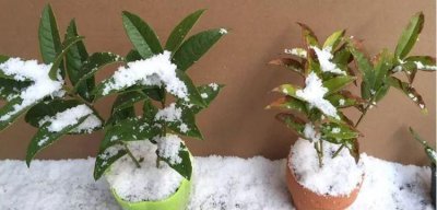 ​防冻措施有哪些，消防水池的防冻防堵措施都有哪些？