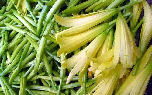 黄花菜不去芯能吃,黄花菜里的芯用不用去掉能不能吃图3