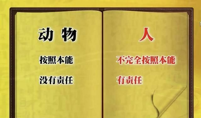 人的定义,法律上对人的定义是什么?图2