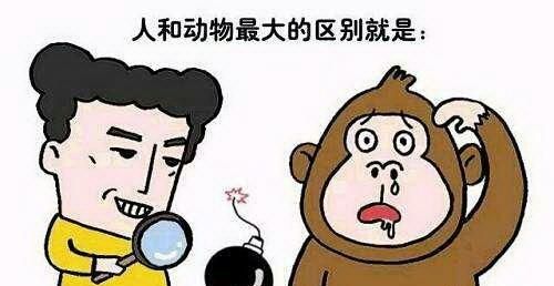 人的定义,法律上对人的定义是什么?图3