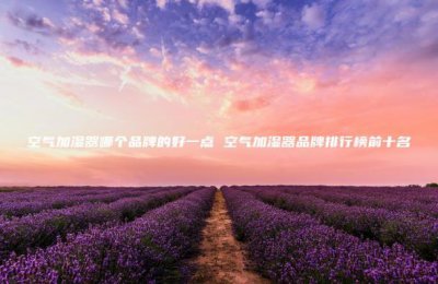 ​空气加湿器哪个品牌的好一点_空气加湿器品牌排行榜前十名