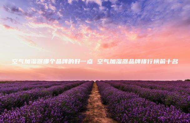 空气加湿器哪个品牌的好一点_空气加湿器品牌排行榜前十名