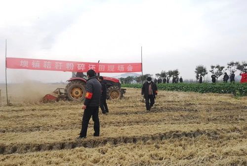 自然实验与实验室实验