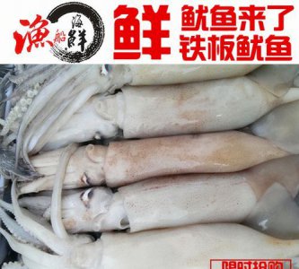 ​鱿鱼是鱼类 无脊椎,鱿鱼和鲍鱼都是鱼类吗