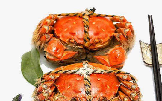 熟螃蟹冷冻后能吃,蒸熟的螃蟹放冰箱冷冻隔夜能吃吗图3