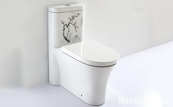 十大品牌马桶排名前30名（十大马桶品牌排行榜）(3)