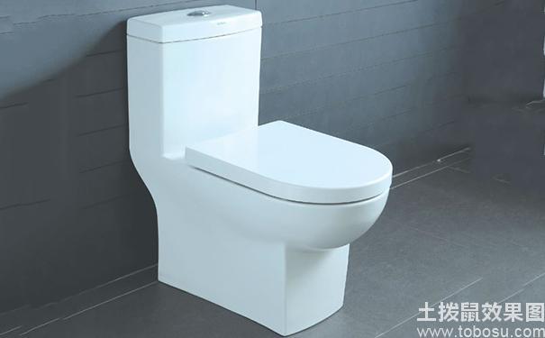 十大品牌马桶排名前30名（十大马桶品牌排行榜）(9)