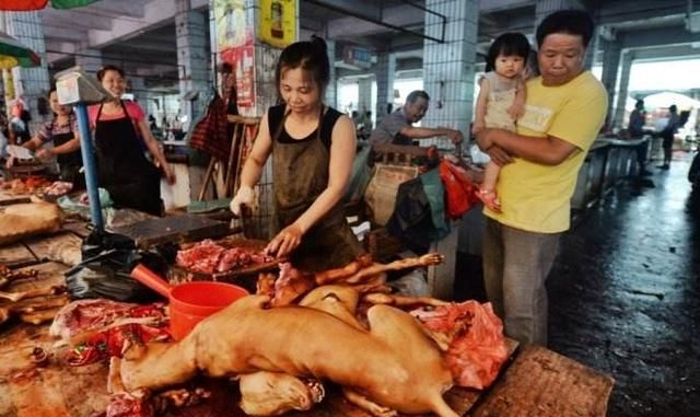 夏至吃什么风俗食物,夏至对农民来说意味着什么?都干哪些农活?图4