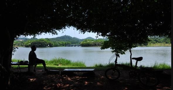 夏至吃什么风俗食物,夏至对农民来说意味着什么?都干哪些农活?图2