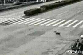 谢大脚的死亡是什么原因(谢大脚会说蒙语吗)