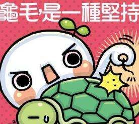 龟毛是什么意思,龟毛是什么意思图1