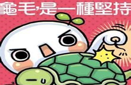 龟毛是什么意思,龟毛是什么意思图2