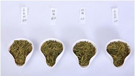 茶叶的级别怎么区分