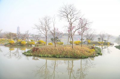 ​描写植物的现代诗《树》（描写植物的诗歌现代诗）