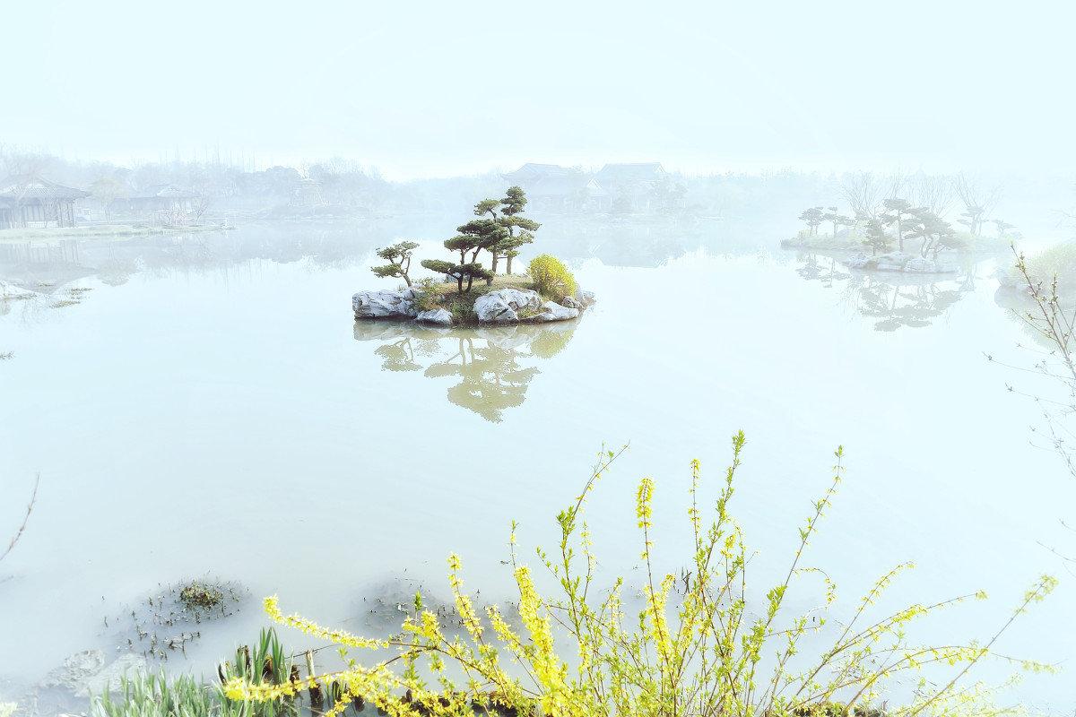 描写植物的现代诗《树》(描写植物的诗歌现代诗)(图5) 描写植物的现代诗《树》(描写植物的诗歌现代诗)(图5)