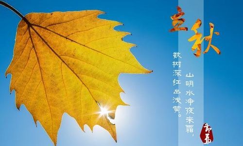 描写立秋的唯美诗句古诗