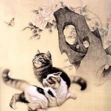猫咪的品种图片,猫的品种图片名字大全图22