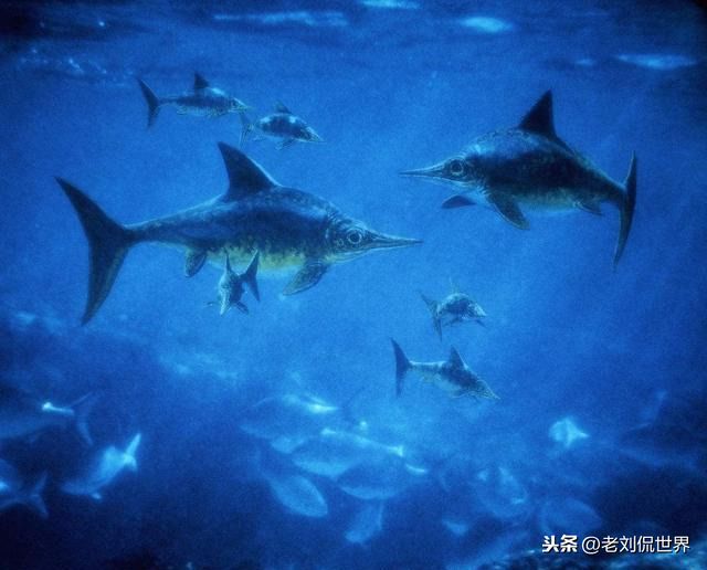 大眼鱼龙图片（带你了解侏罗纪的大眼仔大眼鱼龙）