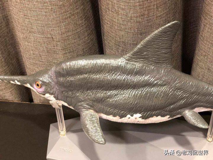 大眼鱼龙图片（带你了解侏罗纪的大眼仔大眼鱼龙）