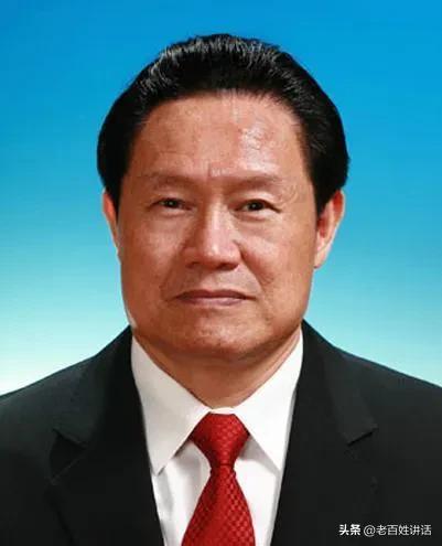 中国十大最强的老虎排名(中国副国级“大老虎”落马)