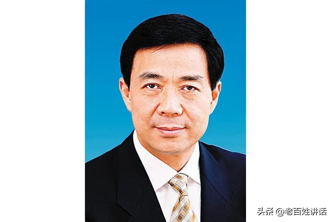 中国十大最强的老虎排名(中国副国级“大老虎”落马)