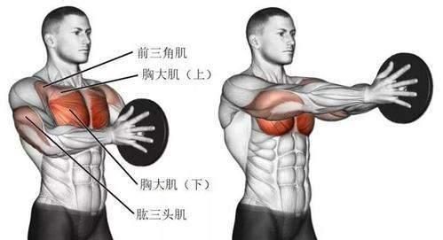 如何锻炼胸肌 可以做这些动作呢