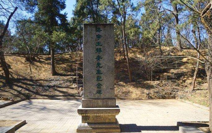 王国维为什么投湖自尽-（王国维为什么投湖自尽）(图8)