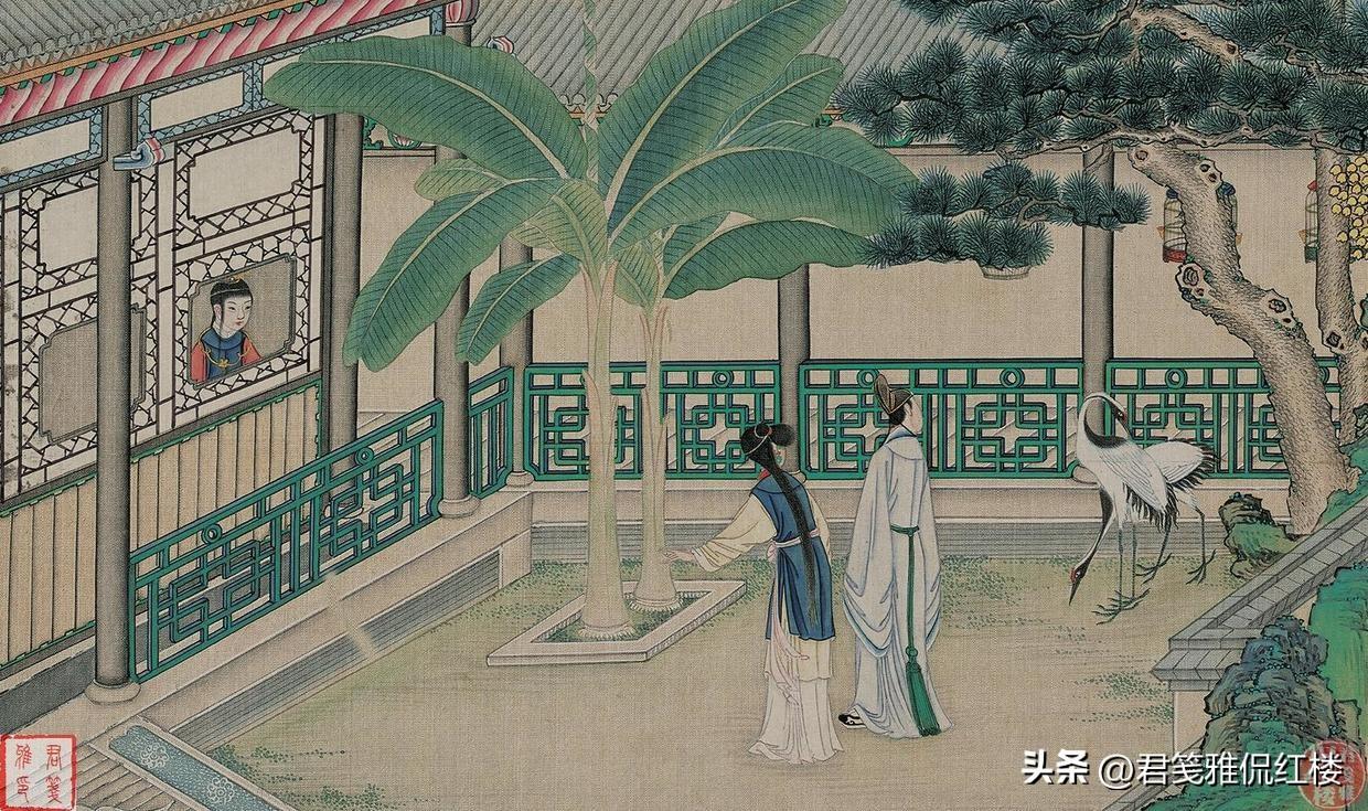 红楼梦最凄惨的故事情节（红楼梦里的故事）(图4)