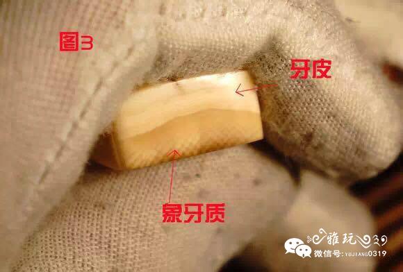 猛犸象牙的优缺点和保养方法（猛犸象牙的优缺点和保养方法）(5)