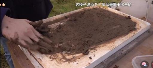 无法抗拒的他第一集娜比（娜比童年揭秘残酷真相）(6)