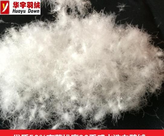 白鸭绒和黑鸭绒哪个好
