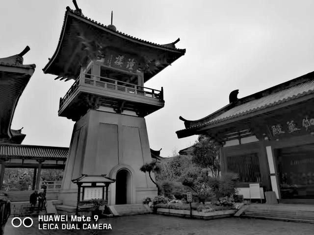 南翔古镇景点路线图(古镇南翔游记)(16)