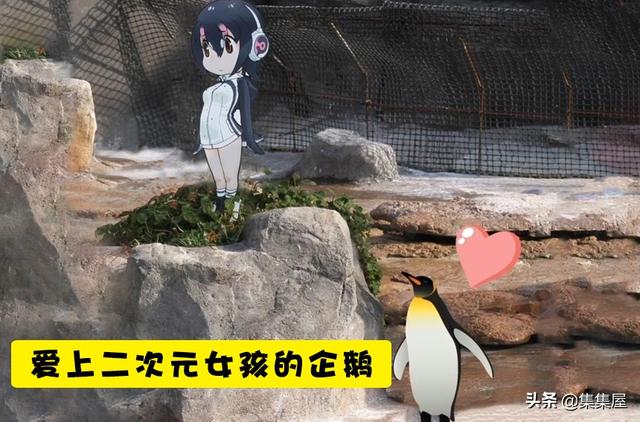 神奇故事真实案例（10个在现实生活中真实发生过的神奇故事）(8)