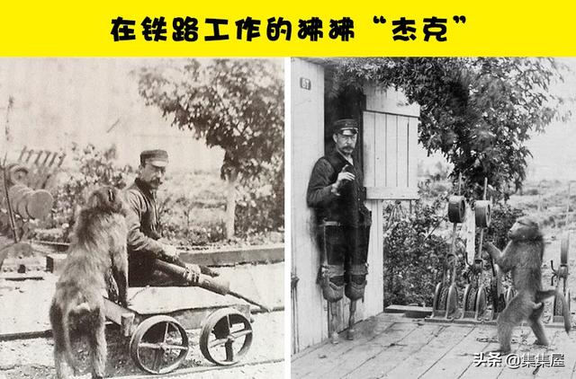 神奇故事真实案例（10个在现实生活中真实发生过的神奇故事）(2)