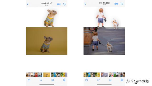 ios 16有哪些新功能（盘点出这15个超实用功能）(4)