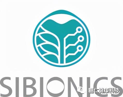 22款硅脂测评（硅基动感国产CGM评测）(2)