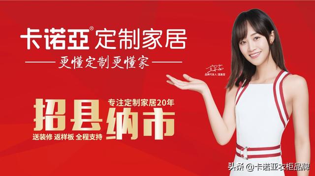 衣柜哪个牌子好十大排名(国内衣柜十大品牌有哪些)(4)
