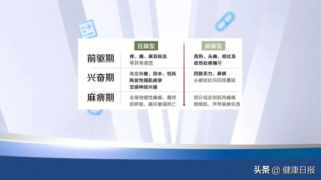 被正常的狗咬了会得狂犬病吗（狂犬病十日观察法可靠吗）(图3)