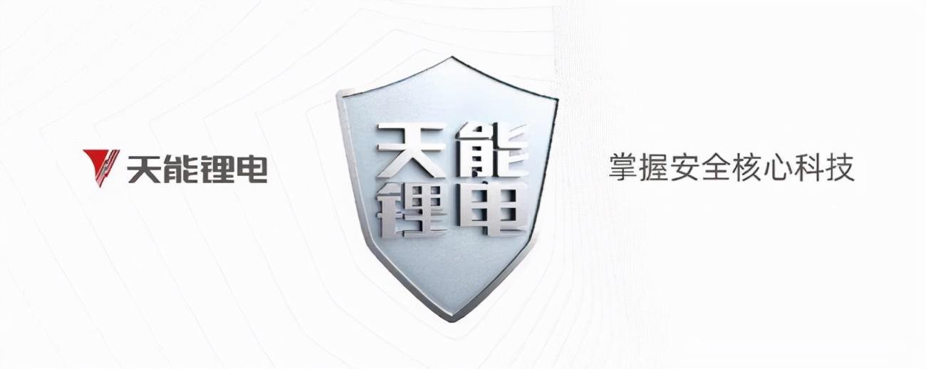 最耐用的锂电池什么牌子（锂电池品牌有哪些）(图7)