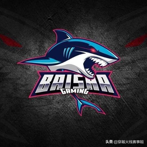 sn战队赛程(常规赛战队积分榜解读)(2)