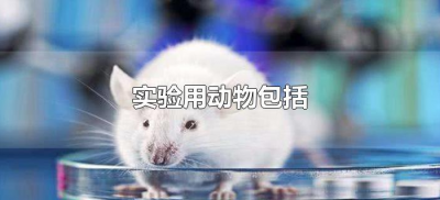 ​实验用动物包括（广义的实验用动物包括哪些）