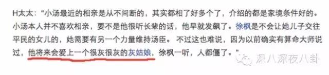 汤珈铖的别墅（这位豪门初代国民老公）(28)