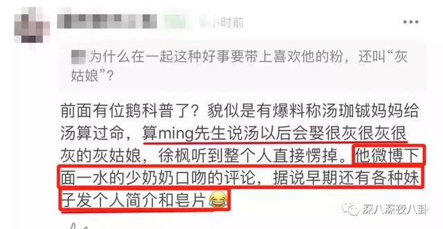 汤珈铖的别墅（这位豪门初代国民老公）(30)