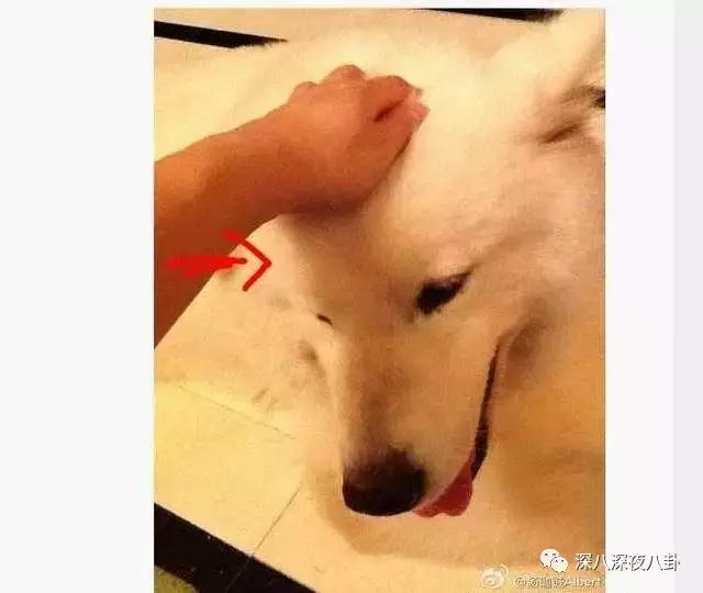 汤珈铖的别墅（这位豪门初代国民老公）(90)