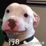 汤珈铖的别墅（这位豪门初代国民老公）(17)