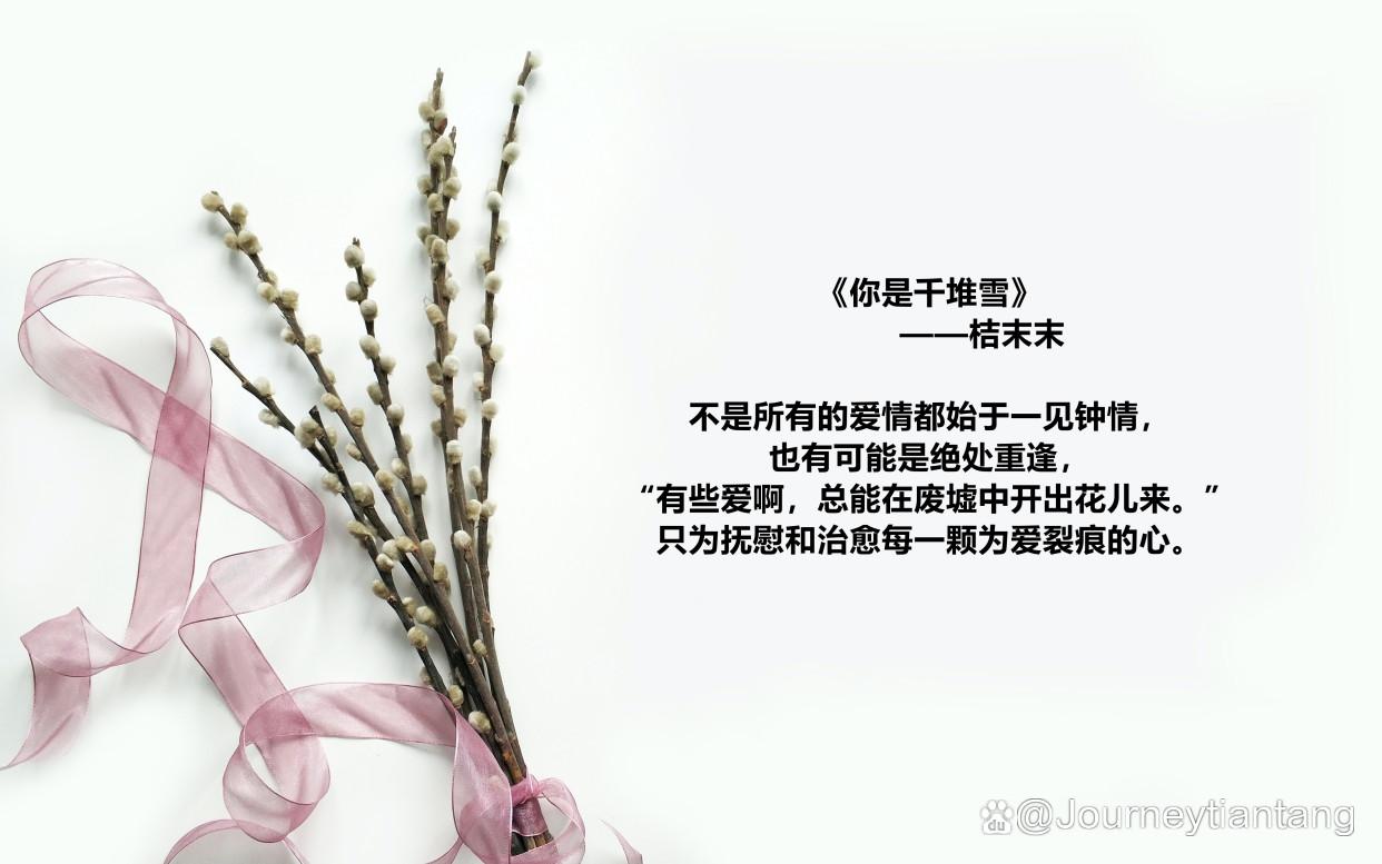 虐心现代言情催泪小说(现代虐心催泪短文)插图2