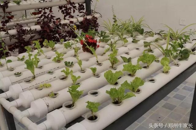 四中学校官方网（四中直属教学优势突出）(8)