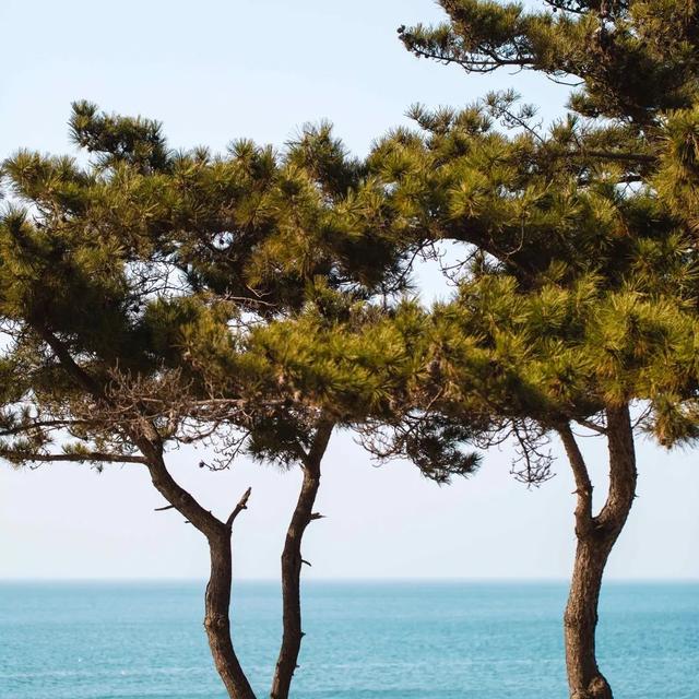 适合居住的海滨小镇（高质量海滨小城一览）(3)