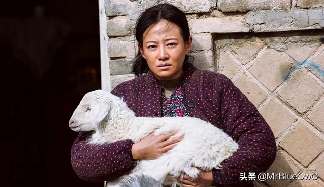 推荐十部经典悬疑片（5部经典悬疑片细思极恐）(11)