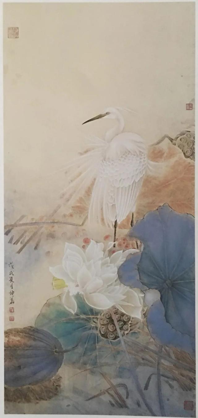 新工笔花鸟画作品欣赏（清新而优美传统且现代的工笔花鸟画）(25)